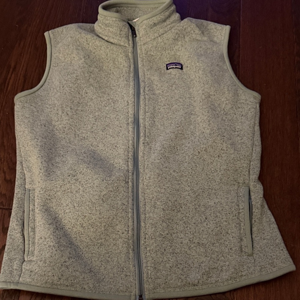 Patagonia Light Gray Fleece Vest